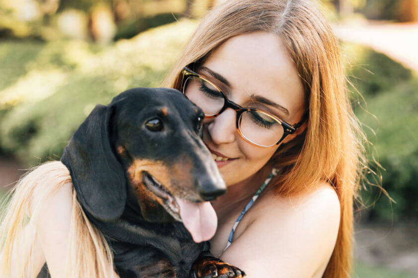 Casas de acogidas para perros y gatos en Mollet